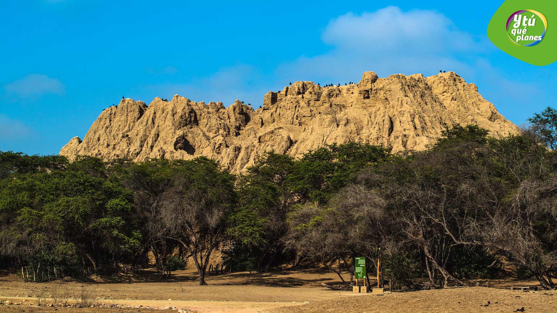 Huaca el Oro. Santuario Histórico Bosque de Pomac